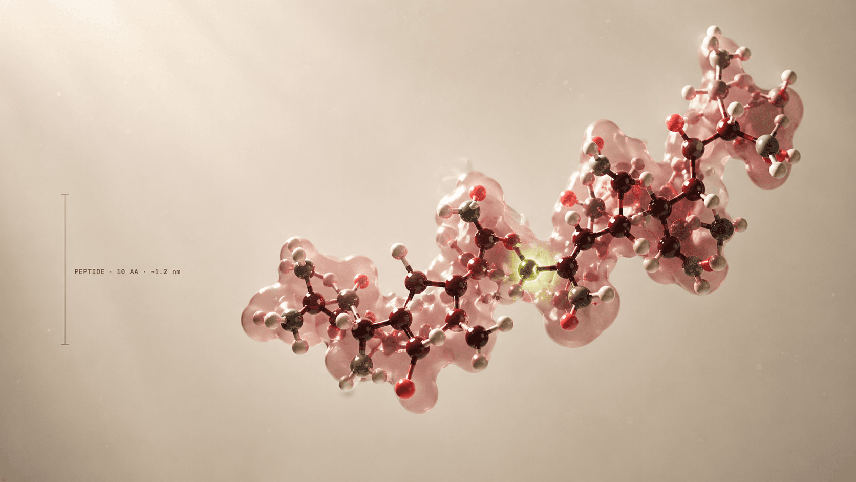 Molecular peptide illustration