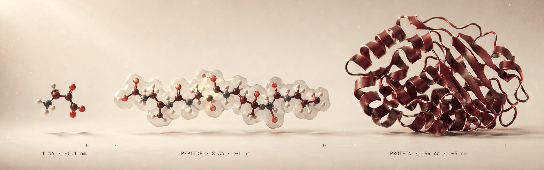 Amino acid, peptide and protein spectrum comparison
