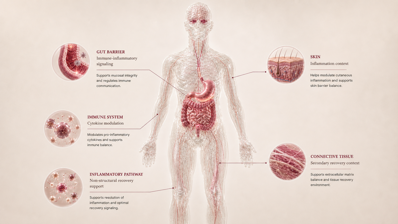 KPV concept canvas showing metabolic effect panels