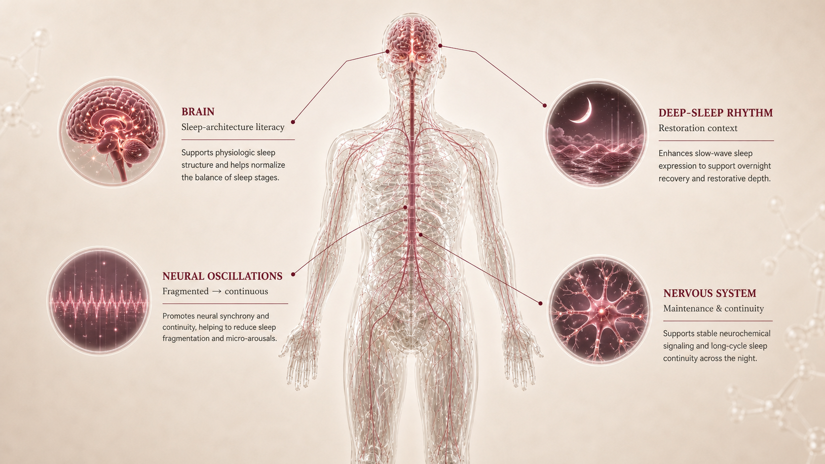DSIP concept canvas showing metabolic effect panels